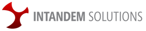 Intadnem Logo